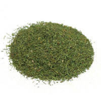 Dill Weed 1 Oz. (Anathum graveolens)